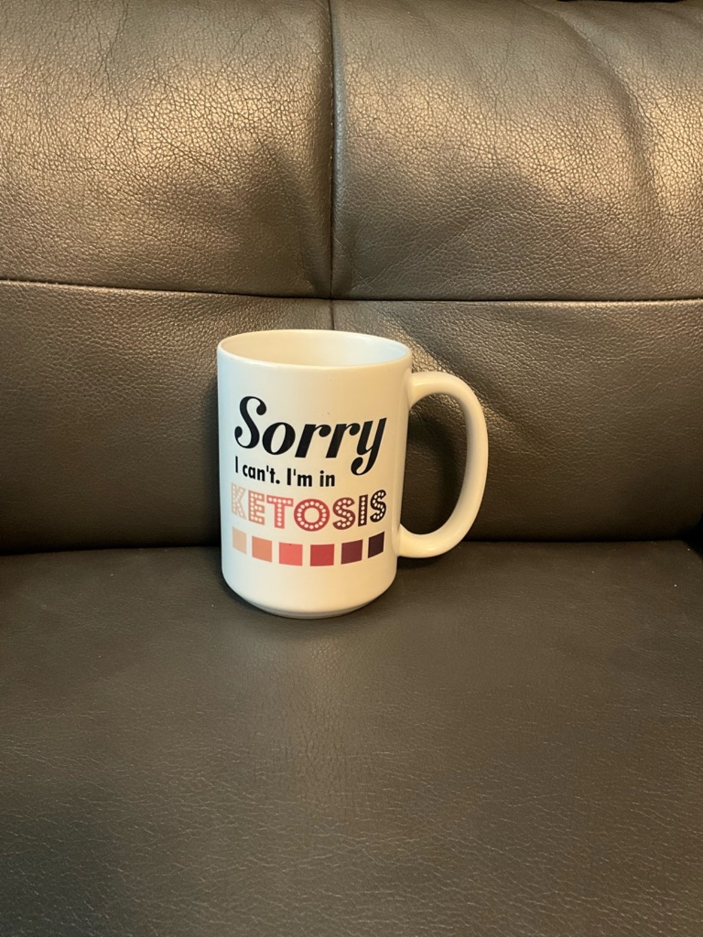 Sorry I Can't I'm in Ketosis White Coffee Mug